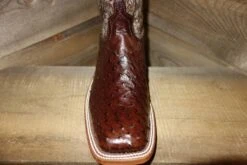 Anderson Bean Anderson Bean Ladies FQ Ostrich Boots -Durango Store anderson bean anderson bean ladies fq ostrich boot 3